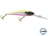 Interceptor