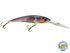 Interceptor