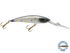 Interceptor