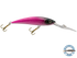 Interceptor