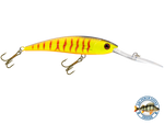 Interceptor