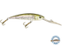 Interceptor