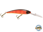 Interceptor