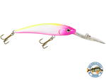 Interceptor