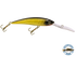 Interceptor