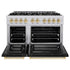 ZLINE 48" Select Dual Fuel Range Gas Cooktop Electric Convection Oven Stainless Steel Black Matte Doors Gold HDRZ-BLM-48-G