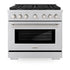 ZLINE 36"Paramount Dual Fuel Range Stainless Steel, Brass Burner, SDR-BR-36
