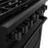 ZLINE 36"Paramount Dual Fuel Range Black Stainless Steel, Brass Burners SDRB-BR-36