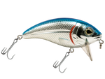 Bull Nose