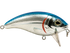 Bull Nose
