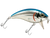 Bull Nose