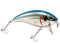 Bull Nose