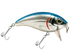 Bull Nose