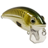 Bull Nose