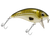 Bull Nose