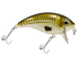 Bull Nose