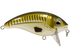 Bull Nose