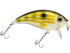Bull Nose