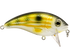 Bull Nose