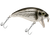 Bull Nose