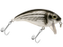 Bull Nose