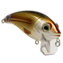 Bull Nose