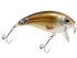 Bull Nose