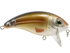 Bull Nose