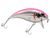 Bull Nose