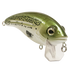 Bull Nose