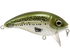 Bull Nose