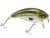 Bull Nose
