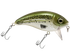 Bull Nose