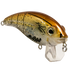 Bull Nose