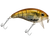 Bull Nose