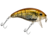 Bull Nose