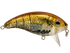 Bull Nose