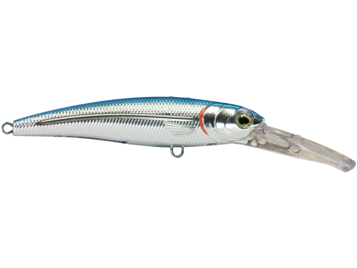 Voyager