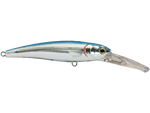 Voyager