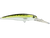 Voyager