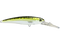 Voyager