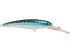 Voyager