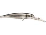 Voyager