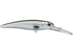 Voyager