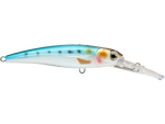 Voyager