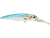 Voyager