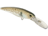 Voyager