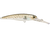 Voyager