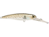 Voyager