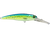 Voyager